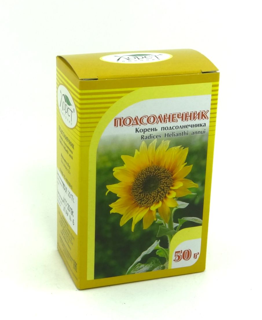 Корень подсолнечника